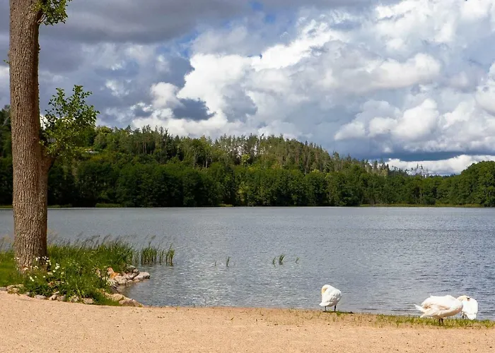 Leśny Dwór Ośrodek wypoczynkowy